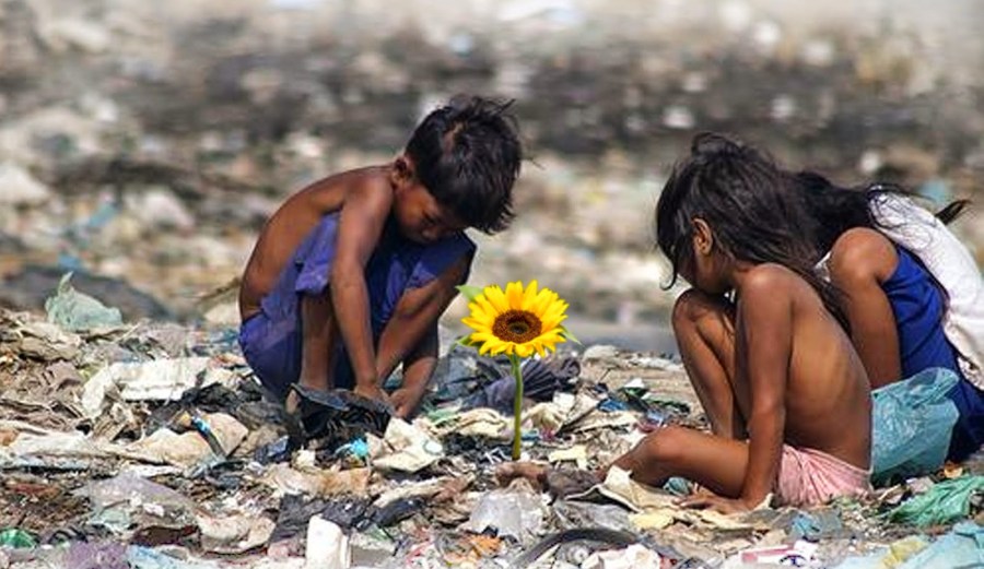 ilha2bdas2bflores2bcapa